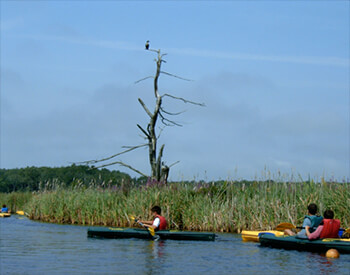 Serenity of the Scarborough Wildlife Refuge