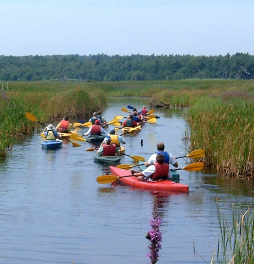 Maine Kayaking in a group is a fun event!